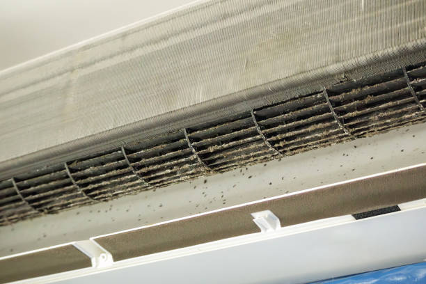 Best HVAC Duct Inspection Services  in Auburndale, FL