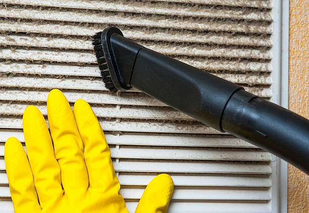 Best Dryer Vent Cleaning Services  in Auburndale, FL